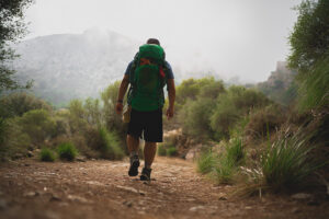Visit Serra de Tramuntana