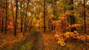 Visit Spain in Autum 2021