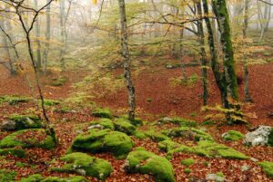Herbst in Spanien 2020